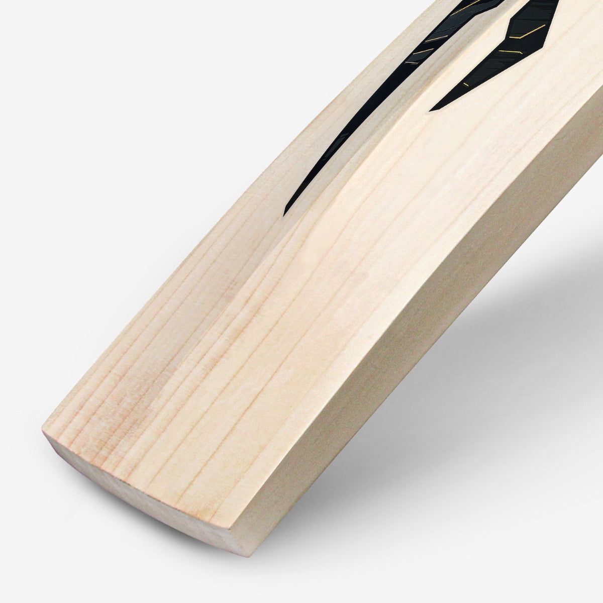 DSC BLAK 5 English Willow Cricket Bat