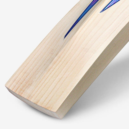 DSC BLU 111 English Willow Cricket Bat