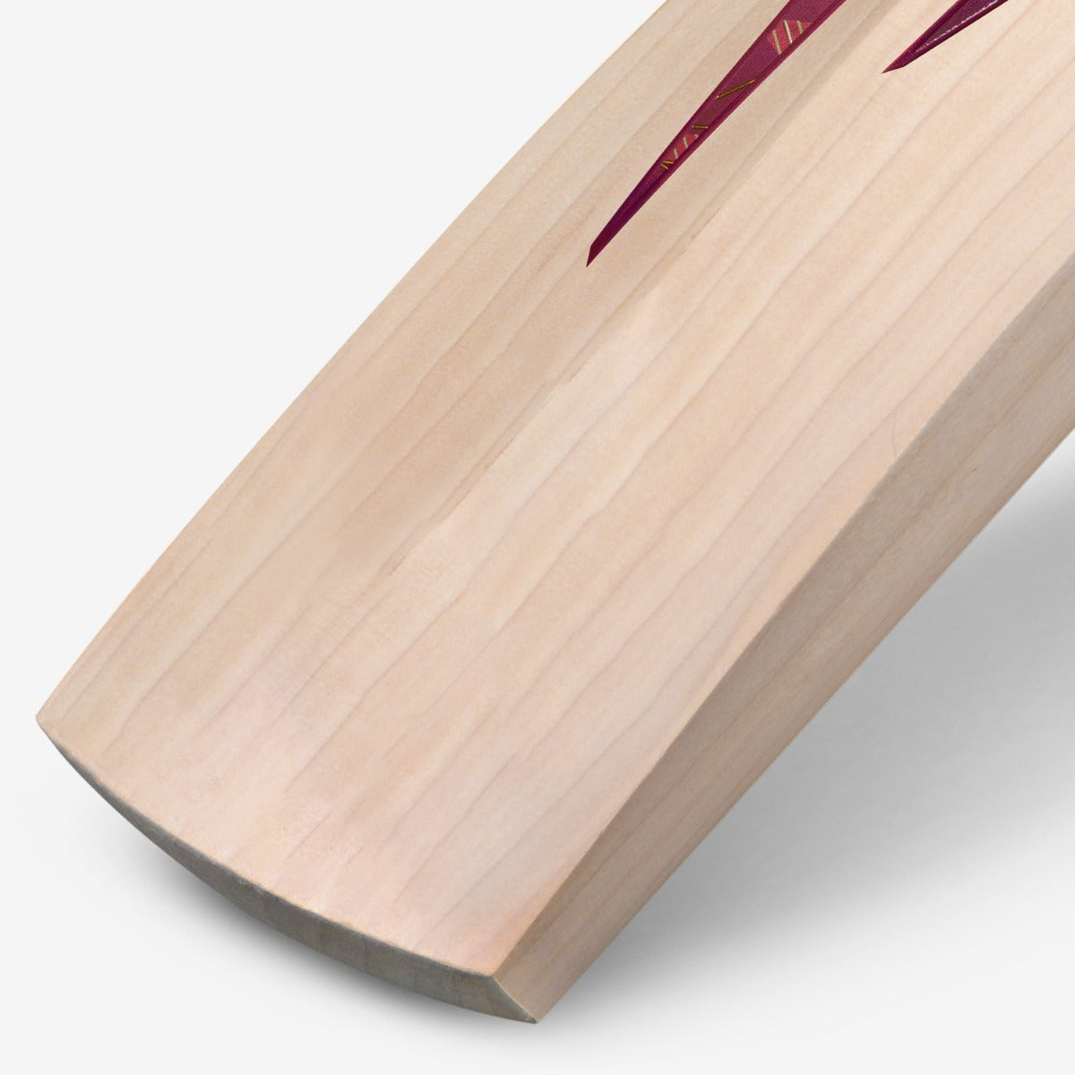 DSC Condor Flite English Willow Cricket Bat