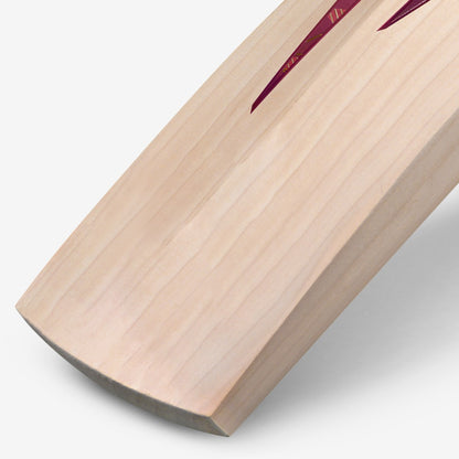 DSC Condor Drive English Willow Cricket Bat
