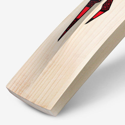 DSC Intense Speed English Willow Cricket Bat