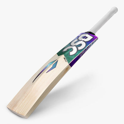 DSC RS 040 English Willow Cricket Bat