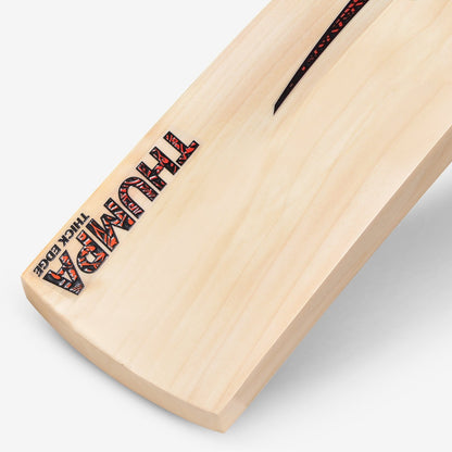 DSC Thumpa 4000 English Willow Cricket Bat